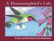 A Hummingbird's Life
