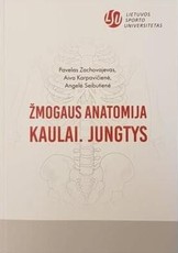 Žmogaus anatomija: kaulai, jungtys