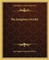 The Imaginary Invalid