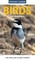 Pocket Guide to Birds of Namibia