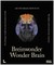 Wonder Brain