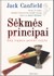 Sėkmės principai