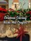Christmas Coloring Books And Crayons