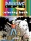 Pakkins' Land Coloring Book