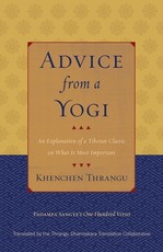 Advice from a Yogi