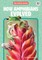 How Amphibians Evolved