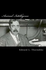Animal Intelligence