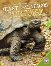 Giant GalÃ pagos Tortoise