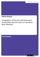 Comparison of Velocity and Ultrasound Transit Time Spectroscopy in Cancellous Bone Phantom