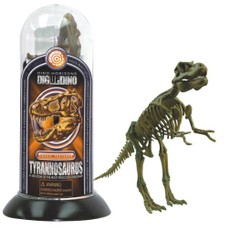 Konstruktorius dinozauro skeletas „Tyrannosaurus“