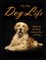 Dog Life