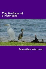 The Madness of a Hurricane