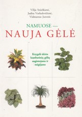 Namuose - nauja gėlė
