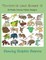 Terrestrial Land Animals 13