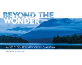 Beyond the Wonder