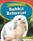Rabbit Behavior