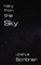 Falling from the Sky