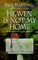 Heaven is Not My Home