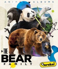 The Bear Family