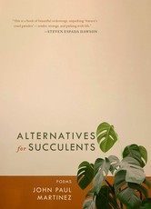 Alternatives for Succulents