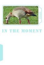 In the Moment