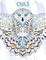 Owls Coloring Book for Grown-Ups 2