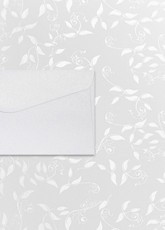 Rinkinys: popierius A4 LIANA 20lap+vokai DL PEARL 10vnt