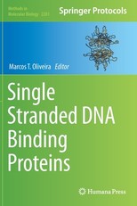 Single Stranded DNA Binding Proteins