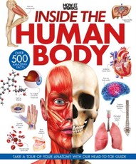 Inside the Human Body