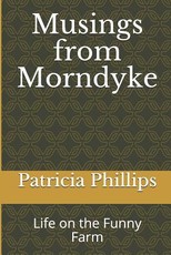 Musings from Morndyke