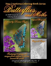 New Creations Coloring Book Series