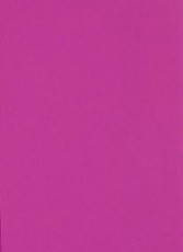 Spalvotas kartonas A2/170g avietinis