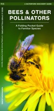 Bees & Other Pollinators
