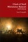 Clash of Steel Miniatures Ruleset
