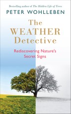 The Weather Detective