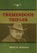 Tremendous Trifles