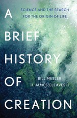 A Brief History of Creation: Science and the Search for the Origin of Life