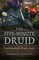 The Five-Minute Druid