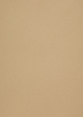 Popier.A4 CM 120g.Gold Leaf 408161