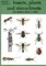 Insects, plants and microclimate