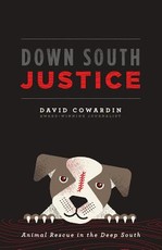 Down South Justice