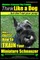 Miniature Schnauzer Dog Training - Think Like a Dog But Don't Eat Your Poop! -