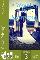 A Wedding In Montana