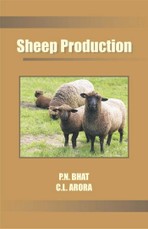 Sheep Production