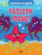 Paslėpk Mane. Pajūryje. Lipdukų knygelė