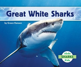Great White Sharks