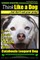 Catahoula Leopard Dog, Catahoula Leopard Dog Training - Think Like a Dog, But Don't Eat Your Poop! - Catahoula Leopard Dog Breed Expert Training