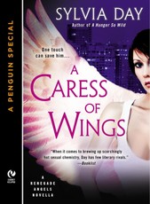 A Caress of Wings