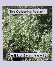 Quivering Poplar