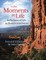 A Few Moments in Life